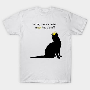 A cat has a staff gift T-Shirt